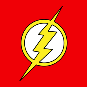 flash new Logo Vector
