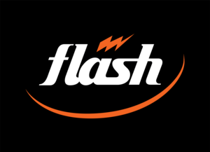 FLASH SPORTS Logo PNG Vector