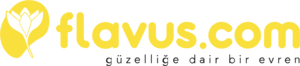 Flavus Logo PNG Vector