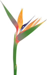 flower Logo PNG Vector