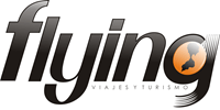 FLYNG Logo PNG Vector