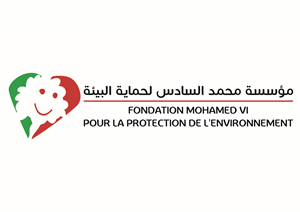 Fondation Mohammed VI Logo Vector