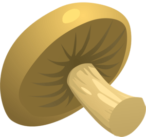 Food Mushroom Logo PNG Vector