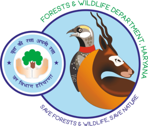 Forests & Wildlife Department, Haryana Logo PNG Vector (CDR) Free Download