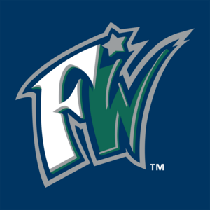 Fort Wayne Wizards Logo PNG Vector