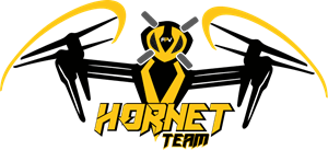 fpv hornet Logo PNG Vector