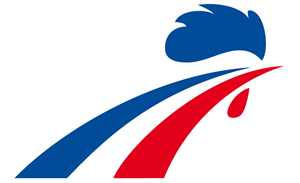 France National Ice Hockey Team Logo Vector