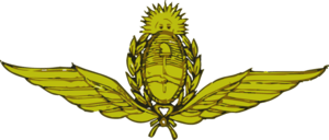 Fuerza Aerea Argentina | Argentina Air Force Logo PNG Vector