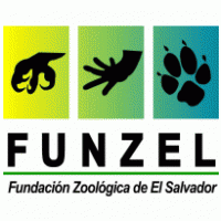 FUNZEL Logo PNG Vector