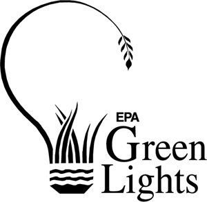 Green Lights Logo PNG Vector