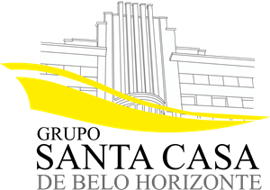 Grupo Santa Casa de Belo Horizonte Logo PNG Vector