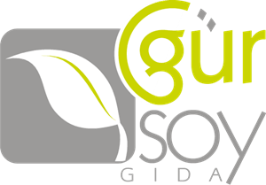 Gursoy Logo PNG Vector