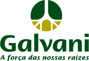 Galvani Logo PNG Vector
