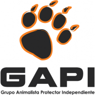 GAPI Logo Vector