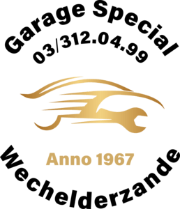 Garage Special Logo PNG Vector