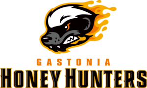 Gastonia Honey Hunters Logo PNG Vector