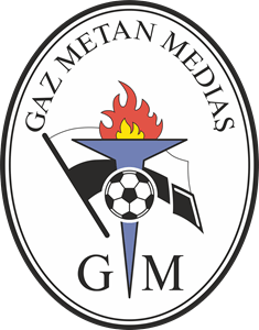 Gaz Metan Medias Logo PNG Vector