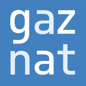 Gaznat Logo PNG Vector