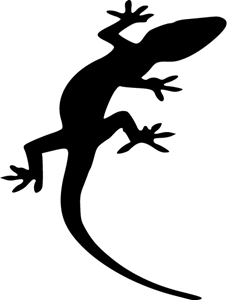 gecko Logo PNG Vector