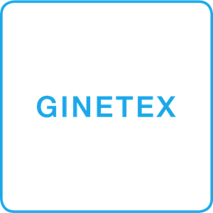 GINETEX Logo PNG Vector