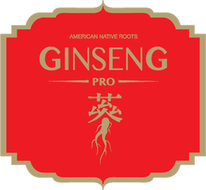 GinsengPro Logo Vector