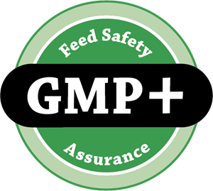 GMP Logo PNG Vector