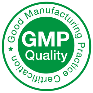 GMP Quality Logo Vector