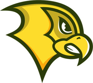 Golden Falcons Logo PNG Vector