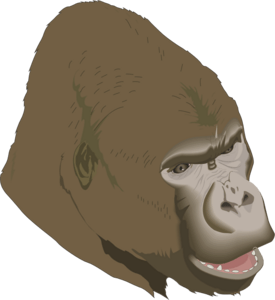 Gorilla Logo PNG Vector
