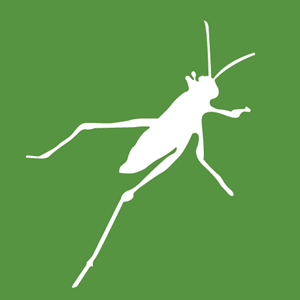 GrassHopper 3D Logo Vector