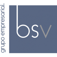 Grupo BSV Logo PNG Vector