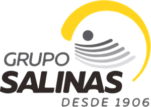 Grupo Salinas Logo Vector