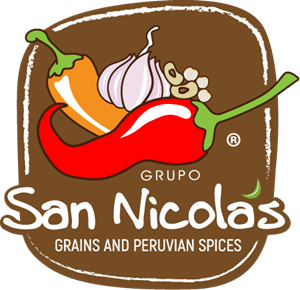 Grupo San Nicolas Logo Vector