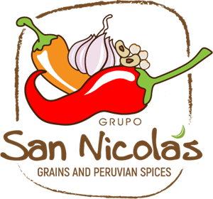Grupo San Nicolas Logo PNG Vector
