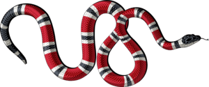 Gucci snake Logo PNG Vector