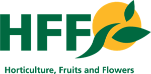 HFF Logo PNG Vector
