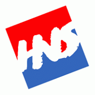 HNS Logo PNG Vector