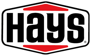 Hays Logo Vector