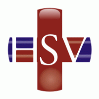 Hospital Sao Vicente Logo PNG Vector