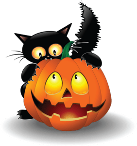 Cat Vector PNG Images, Vector Cat Icon, Cat Icons, Cat, Halloween PNG Image  For Free Download
