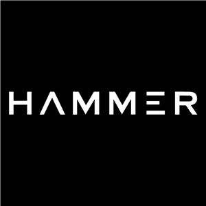 Hammer Logo Vector