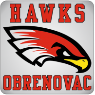 Hawks Obrenovac Logo PNG Vector