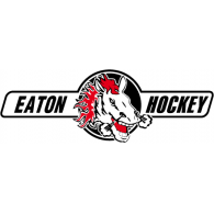 HC Eaton Pardubice Logo Vector