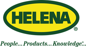 Helena Logo PNG Vector