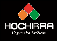 Hochibra Logo PNG Vector