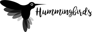 Humming Black Bird Logo Vector