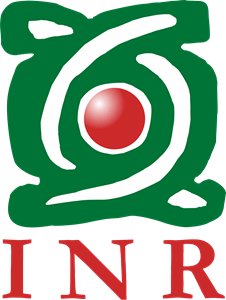 Instituto Nacional de Rehabilitacion Logo PNG Vector