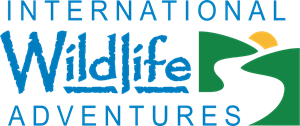 International Wildlife Adventures Logo PNG Vector