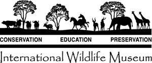 International Wildlife Museum Logo PNG Vector