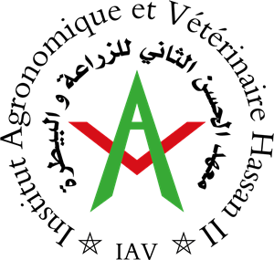 IAV - Maroc Logo PNG Vector
